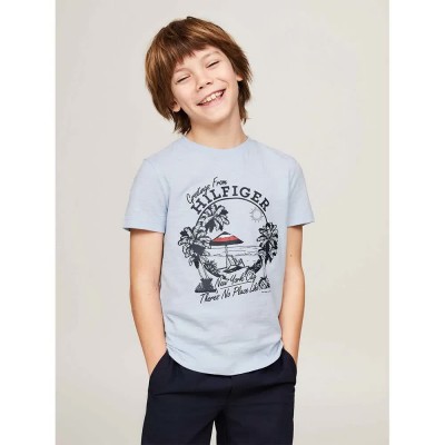 тениска,детски,тениски,tommy,hilfiger,greetings,from,short,sleeve,t,shirt,grey,(breezy,blue)
