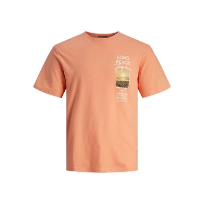 тениска,мъжки,тениски,jack,&,jones,aruba,photo,short,sleeve,t,shirt,canyon,sunset,(orange)