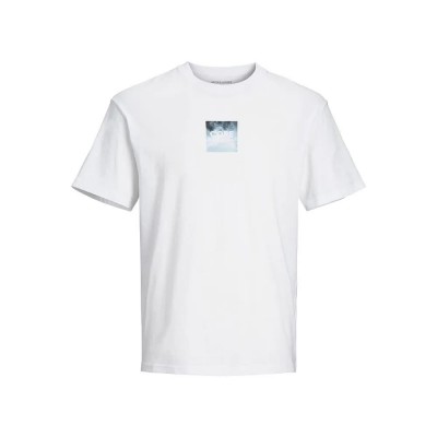 тениска,мъжки,тениски,jack,&,jones,berlin,summer,short,sleeve,t,shirt,white,alyssum,print,sky,(white)