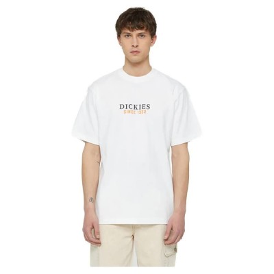 тениска,мъжки,тениски,dickies,park,short,sleeve,t,shirt,white,(white,pale,green)