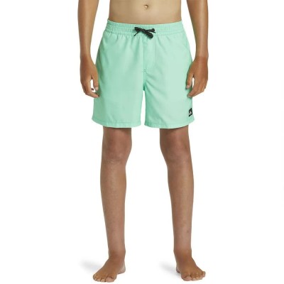 бански,гащета,детски,бански,костюми,quiksilver,solid,14´´,swimming,shorts,green,(beveled,glass)