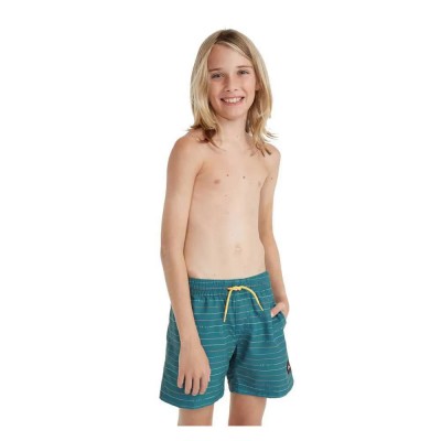 бански,гащета,детски,бански,костюми,o´neill,mix&match,cali,first,13´´,swimming,shorts,blue,(lily,pad,first,name,stripe)