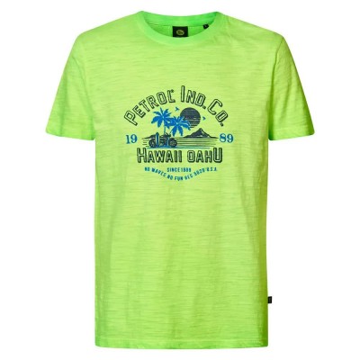 тениска,мъжки,тениски,petrol,industries,tsr661,short,sleeve,t,shirt,green,gecko,(green)
