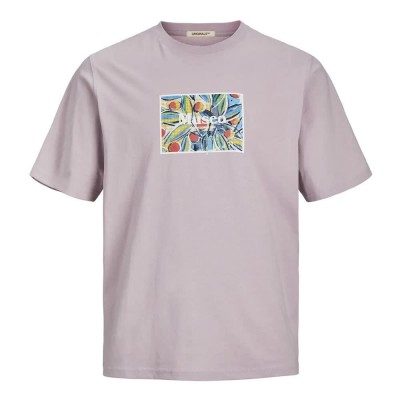 тениска,мъжки,тениски,jack,&,jones,noto,art,short,sleeve,t,shirt,grey,(lavender,frost)