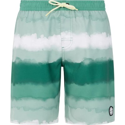 бански,гащета,детски,бански,костюми,protest,abel,swimming,shorts,frost,green,(green)