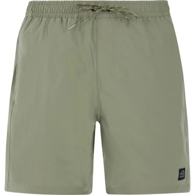 бански,гащета,мъжки,бански,костюми,protest,baky,swimming,shorts,artic,green,(green)