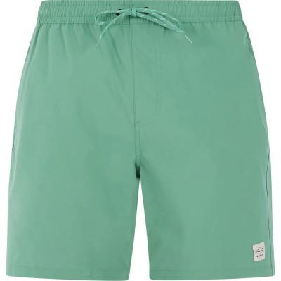 бански,гащета,мъжки,бански,костюми,protest,baky,swimming,shorts,frost,green,(green)