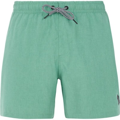 бански,гащета,мъжки,бански,костюми,protest,davey,swimming,shorts,frost,green,(green)