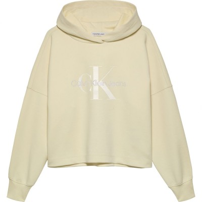 суичър,детски,блузи,calvin,klein,jeans,glitter,monogram,hoodie,beige