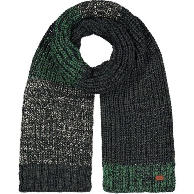 шал,ръкавици,шапки,и,шалове,barts,akotan,scarf,green,(green)