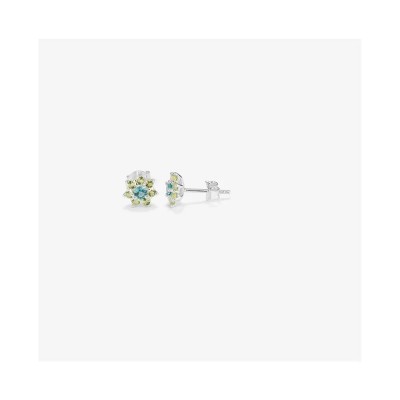 бижутерия,radiant,ry000109,earrings,clear,(grey)