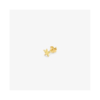 бижутерия,radiant,ry000141,earrings,golden,(golden)