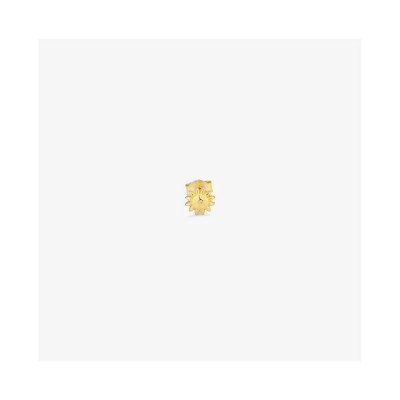 бижутерия,radiant,ry000155,earrings,golden,(golden)