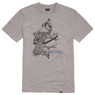 тениска,мъжки,тениски,etnies,bird,series,short,sleeve,t,shirt,grey,(grey)