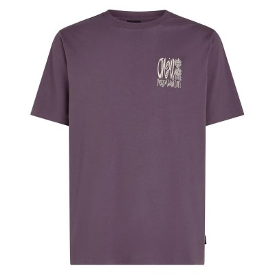 тениска,мъжки,тениски,o´neill,surf,heroes,graphic,short,sleeve,t,shirt,purple,(mauve,miracle)