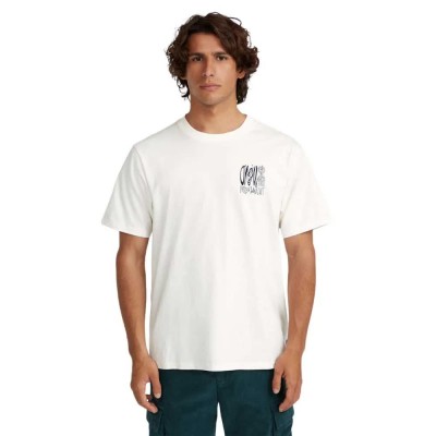 тениска,мъжки,тениски,o´neill,surf,heroes,graphic,short,sleeve,t,shirt,snow,white,(white)