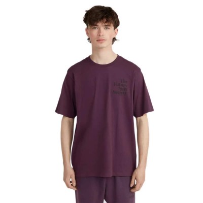 тениска,мъжки,тениски,o´neill,the,future,surf,society,short,sleeve,t,shirt,aubergine,(purple)