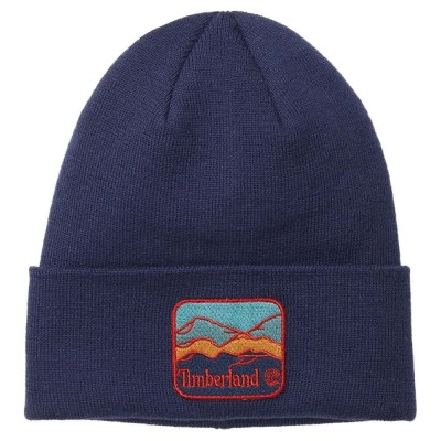 шапка,timberland,mountain,patch,beanie,blue
