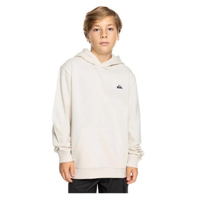 суичър,детски,блузи,quiksilver,basic,hoodie,birch,(white)