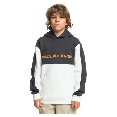 суичър,детски,блузи,quiksilver,knowledge,area,hoodie,snow,white,(white,grey)