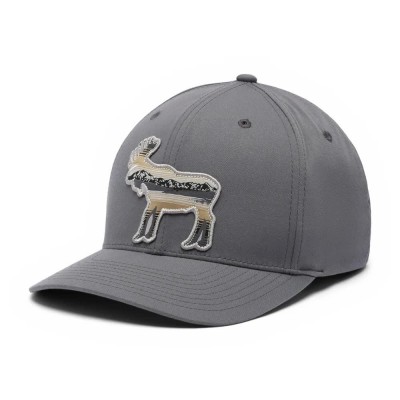 шапка,всички,шапки,columbia,lost,lager™,cap,grey,(city,grey,scenic)