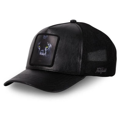 шапка,всички,шапки,hatfield,panther,cap,black,(black)