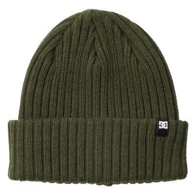 шапка,всички,шапки,dc,shoes,fish,n,destroy,2,beanie,green