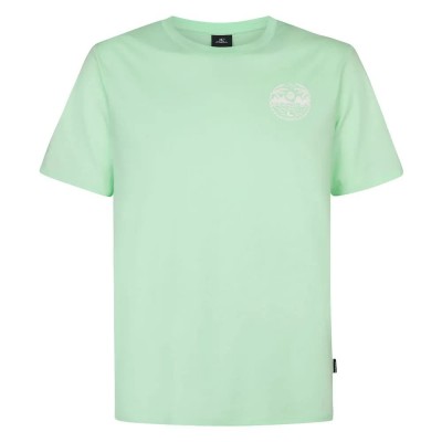 тениска,мъжки,тениски,o´neill,chest,print,short,sleeve,t,shirt,mildrew,mint,(green)