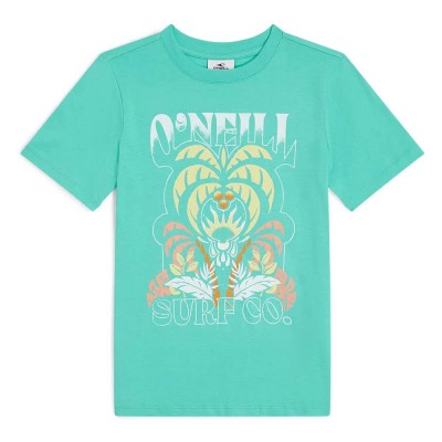 тениска,детски,тениски,o´neill,front,graphic,short,sleeve,t,shirt,surf,city,(green)