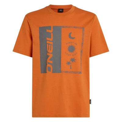 тениска,мъжки,тениски,o´neill,front,print,short,sleeve,t,shirt,cinnamon,stick,(orange)