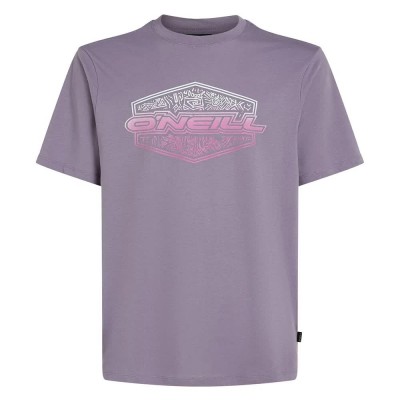 тениска,мъжки,тениски,o´neill,gradient,short,sleeve,t,shirt,storm,(purple)