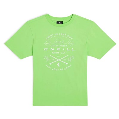 тениска,детски,тениски,o´neill,jack,muir,short,sleeve,t,shirt,paradise,valley,(green)