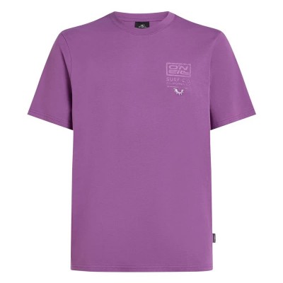 тениска,мъжки,тениски,o´neill,retro,graphic,short,sleeve,t,shirt,sweet,grape,(purple)