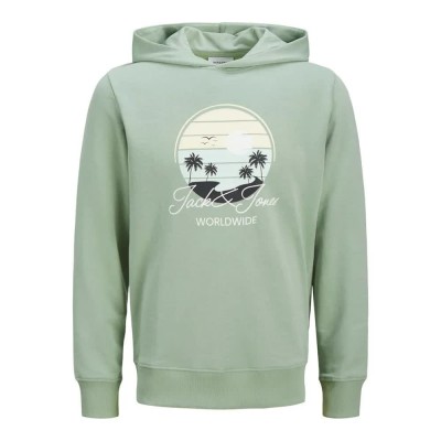 суичър,мъжки,пуловери,jack,&,jones,palm,hoodie,iceberg,green,(green)