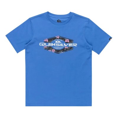 тениска,детски,тениски,quiksilver,ev,locked,up,short,sleeve,t,shirt,nebulas,blue,(blue)