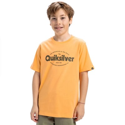 тениска,детски,тениски,quiksilver,ev,shape,all,days,short,sleeve,t,shirt,yellow,(chamois)