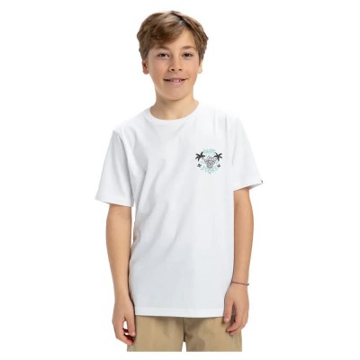 тениска,детски,тениски,quiksilver,ev,share,the,stoke,short,sleeve,t,shirt,white,(white)