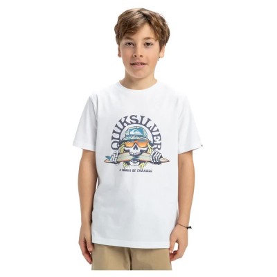 тениска,детски,тениски,quiksilver,ev,skull,feast,short,sleeve,t,shirt,white
