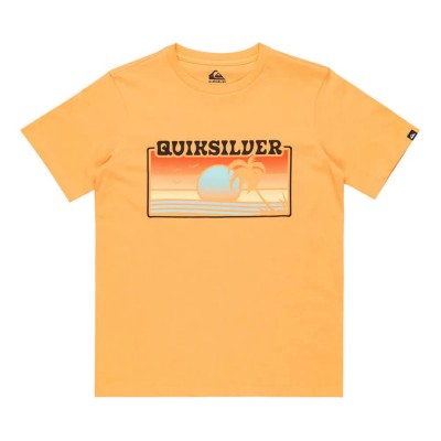 тениска,детски,тениски,quiksilver,ev,sun,faded,yth,short,sleeve,t,shirt,orange,(chamois)