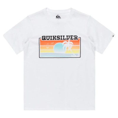 тениска,детски,тениски,quiksilver,ev,sun,faded,yth,short,sleeve,t,shirt,white