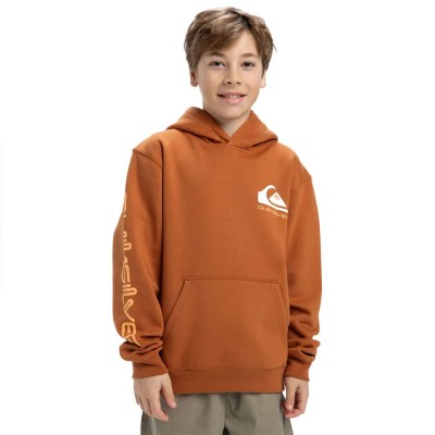 суичър,детски,блузи,quiksilver,omni,logo,hoodie,bran,(brown)
