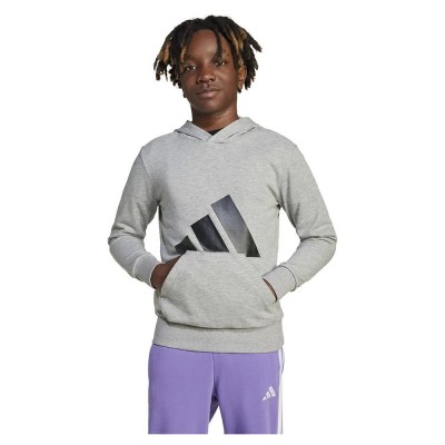 суичър,детски,блузи,adidas,essentials,big,logo,hoodie,grey