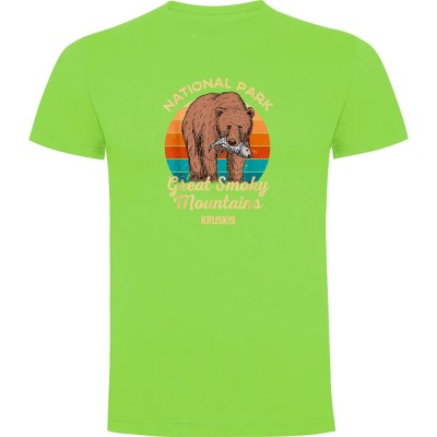 тениска,мъжки,тениски,kruskis,great,smoky,mountains,short,sleeve,t,shirt,light,green,(green)