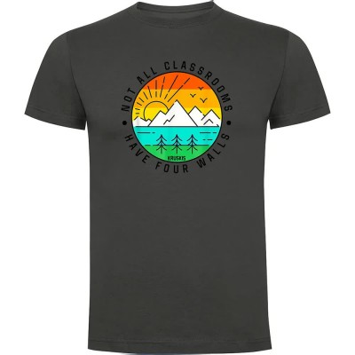 тениска,мъжки,тениски,kruskis,not,all,classrooms,short,sleeve,t,shirt,dark,grey,(grey)