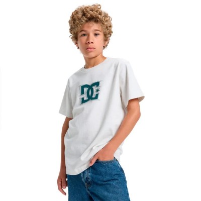 тениска,детски,тениски,dc,shoes,big,deal,star,short,sleeve,t,shirt,snow,heather,(white)