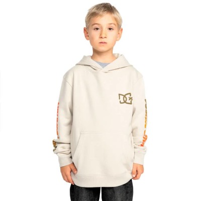 суичър,детски,блузи,dc,shoes,hot,box,ph,hoodie,beige