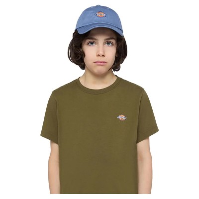 юношеска,шапка,всички,шапки,dickies,hardwick,junior,cap,blue,(country,blue)