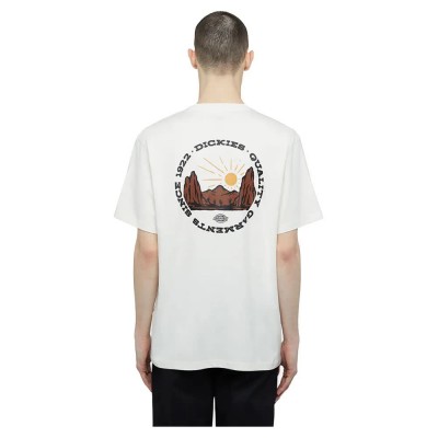 тениска,мъжки,тениски,dickies,outdoor,short,sleeve,t,shirt,white,(egret)