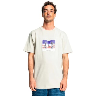 тениска,мъжки,тениски,dc,shoes,metallic,star,short,sleeve,t,shirt,pelican,(beige)