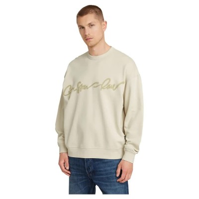 блуза,мъжки,пуловери,g,star,chenille,sweatshirt,beige,(whitebait)